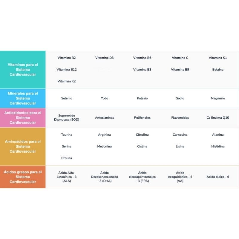 Sistema Cardiovascular