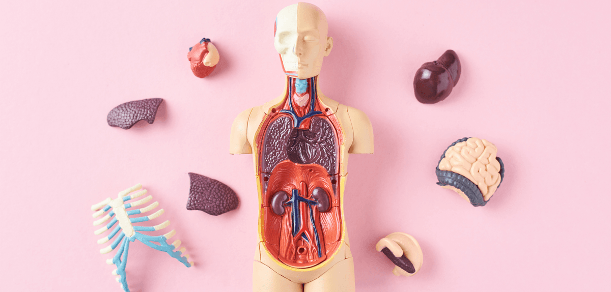 Especialista en Medicina Interna