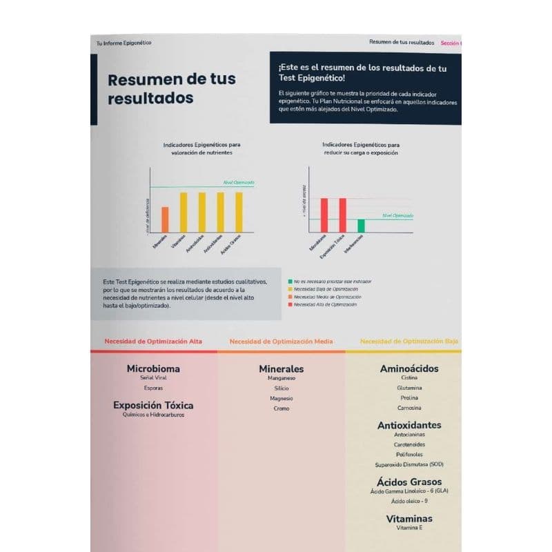 Informe Wellness para adultos