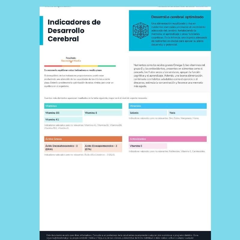 Desarrollo Cerebral
