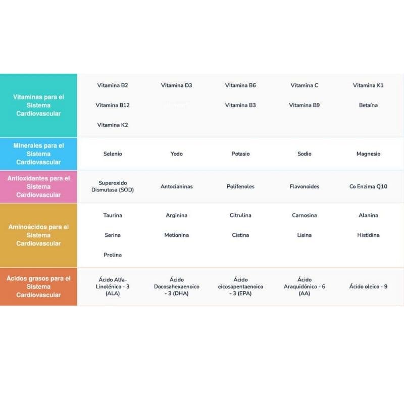 Sistema Cardiovascular